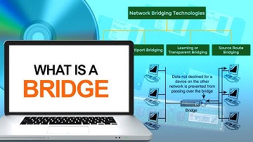 What is a Bridge | Computer & Networking Basics for Beginners | Computer Technology Course