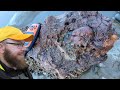 Rainy day fossil hunting on a secluded beach huge fossil bones skull