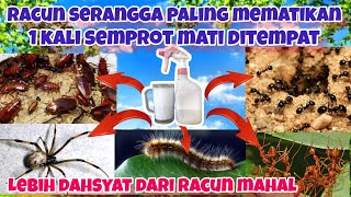 RACUN SERANGGA PALING MEMATIKAN!!! satu kali semprot semua serangga mati ditempat