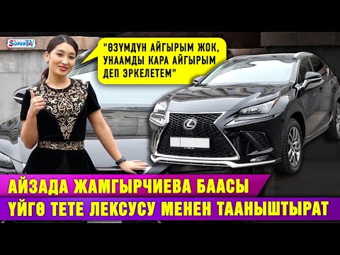 Video: Мышыктар тийишкенди жакшы көрөбү?