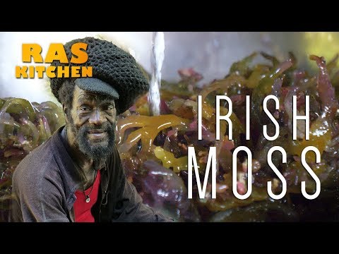 Irish Moss...Seaweed from Jamaica, Bob Marley Favourite! 