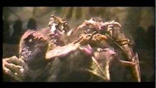 The Skeksis Sure Know How To Throw A Wake
