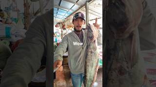 មេត្រីសណ្ដាយជិត10 គីឡូ #shorts