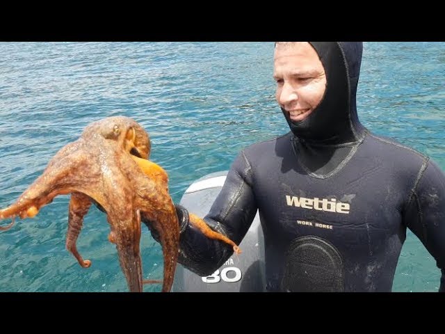 MY OCTOPUS TEACHER – Sailing catch clean cook – Ep -26