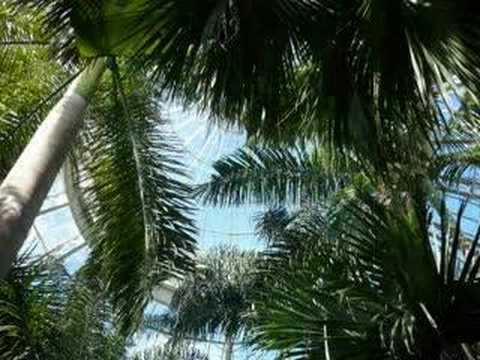 Didier Sinclair - Travel Tracks Didier Sinclair - Travel Tracks