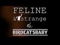 Feline &amp; Strange &amp; birdeatsbaby: Teaser for CASSANDRA´S TWIN