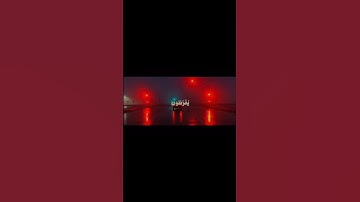 - سوره الانعام - 📜- القاري #بندر_بليلة  -