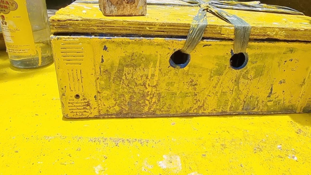 LifeStream 117 Lady Boy Lovers & Zero Tolerance For Trolls