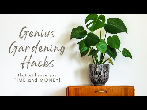 Genius Gardening Hacks That Will Save You Time + $$$ | Catherine Arensberg
