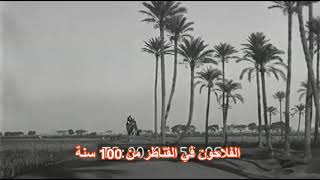 القناطر الخيرية زمان من 100 سنة - القناطر الخيرية 1929 - قناطر محمد علي - قناطر نهر النيل