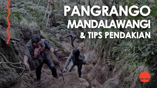 GUNUNG PANGRANGO, MANDALAWANGI, ASMR, Simaksi Online &amp; Tips Pendakian | #WalaKelana