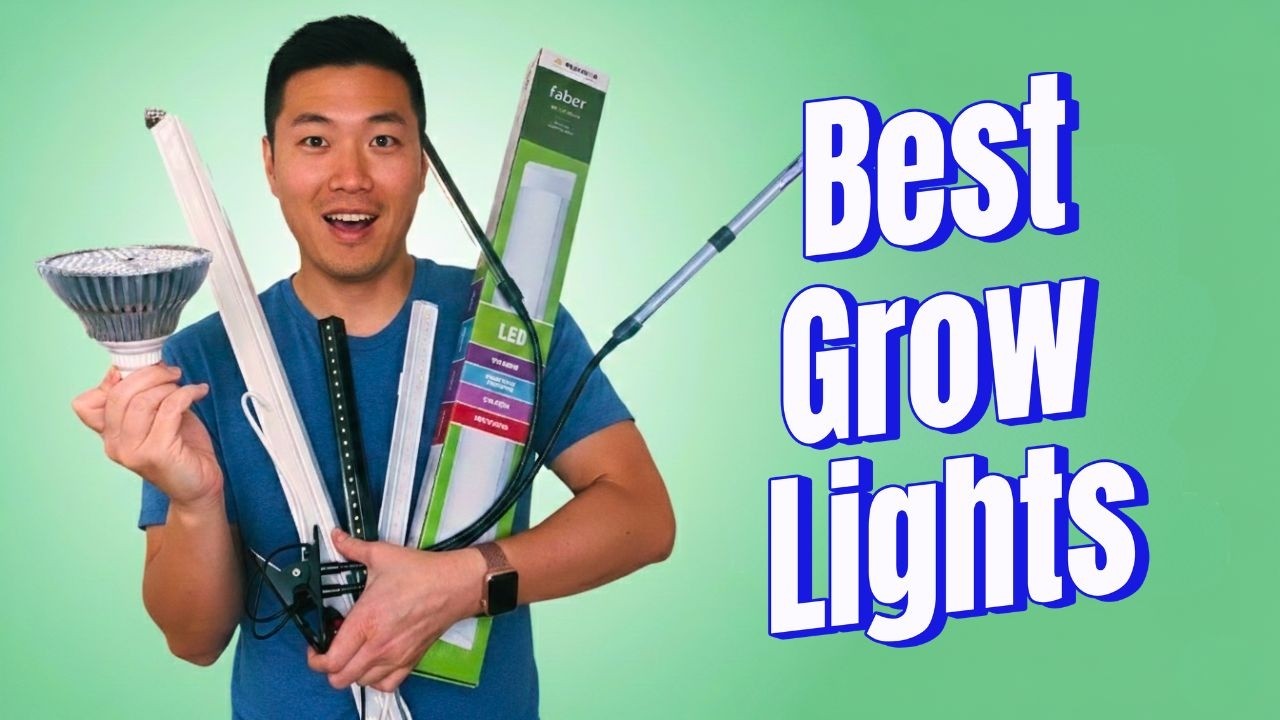 5 Best Grow Lights for Indoor Plants (Tested & Reviewed 2026)
