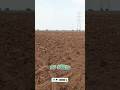 Land On sale 50 Cents in Pedaparimi #landonsale #andhrapradesh #pedaparimi