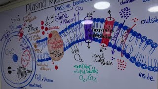 screenshot of the youtube video