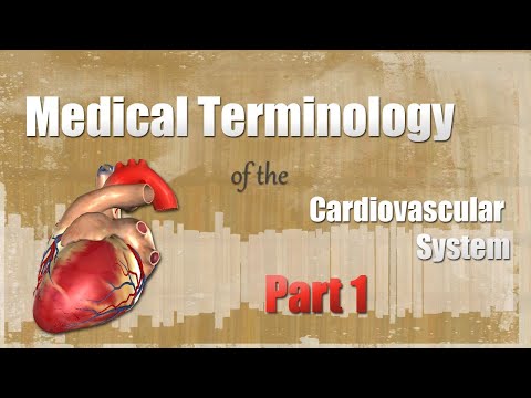 Video: Hvad er en kardialgi i medicinsk?