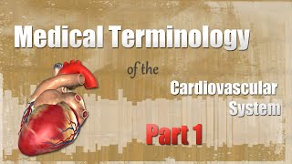 Medical Terminology of the Cardiovascular System Part 1!