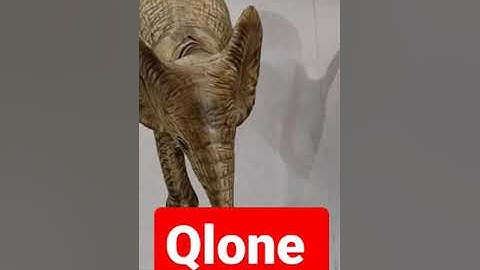 Qlone 3D