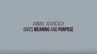 200 People Changing the Future for Animals — 6 Years of Animal Advocacy Careers