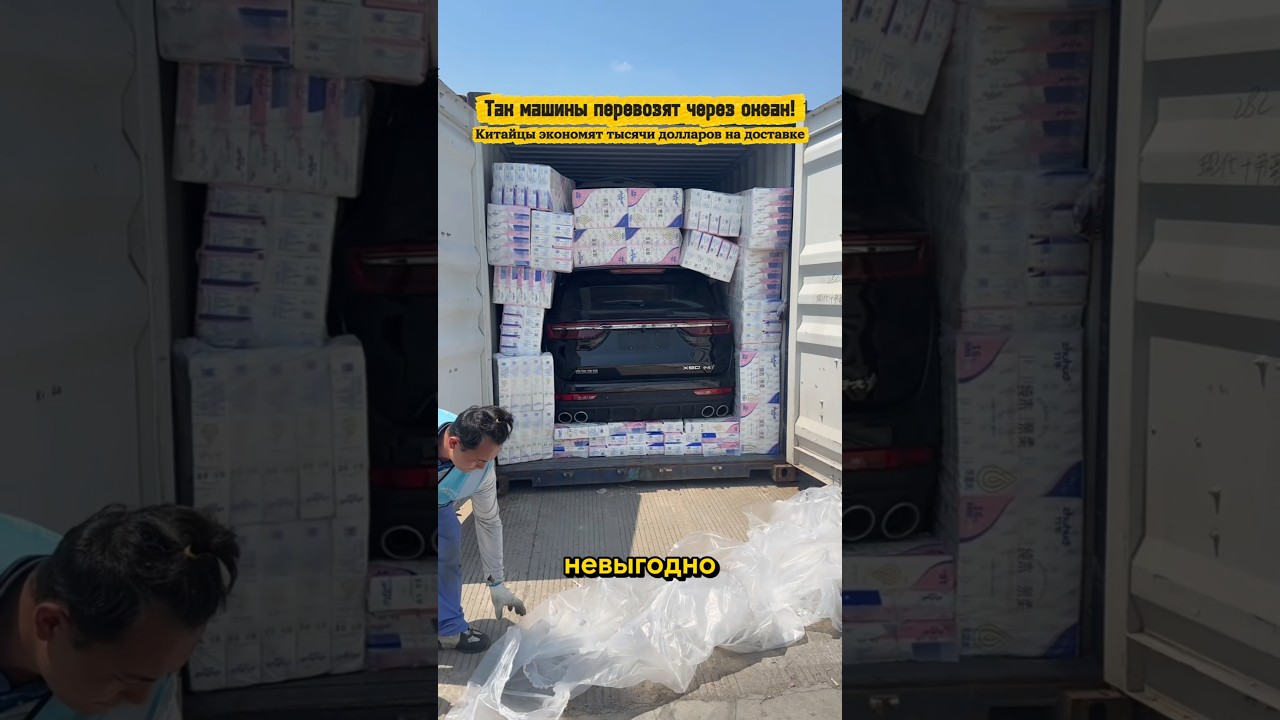 Машины в туалетной бумаге