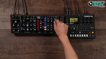 Behringer Model D With Elektron Digitone