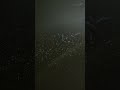 This Light Installation Broke My Brain #art #installation #hypnotic