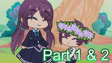 Willow Tree Mep Part 1 and 2