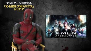 映画「X-MEN：アポカリプス」予告E(デッドプールが教えるトリビア！映像)