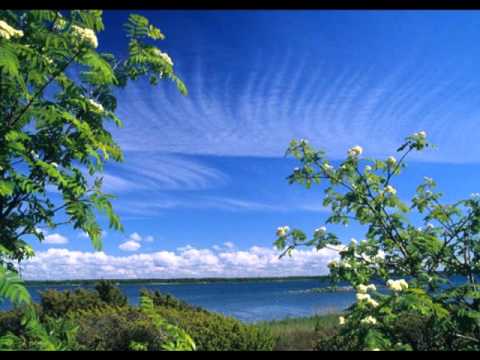 James Greening-Valenzuela/Nancy Rude - Auf der Heide (Sibelius)