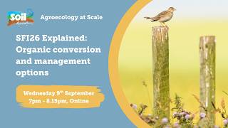SFI26 Explained: Organic conversion and management options (Soil Association)