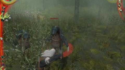 The Witcher: Enhanced Edition - Walkthrough: Chapter 2 - Part 17