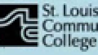 STLCC Graduation Project - Ribbon Board 2