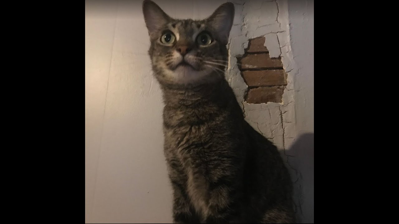 Paint your Picture. Rought draft of a song from a few years ago.