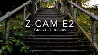 Free Z Cam E2 LUT