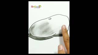 DRAWING REALISTIC FLAT CAP