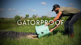 BOTE Presents // Gatorproof