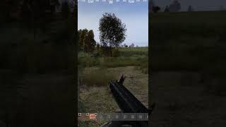 Revenge for my friend DayZ #dayz #dayzgamers #dayzgameplay #dayzmod #dayzraid #gaming