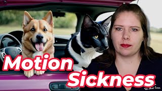 From Queasy to Easy | Vet Discusses Motion Sickness by Vet Med Corner 391 views 6 months ago 6 minutes, 28 seconds