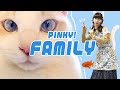 【初公開】ピンキー!の愉快な家族たちを紹介します【でんぱ組.inc】