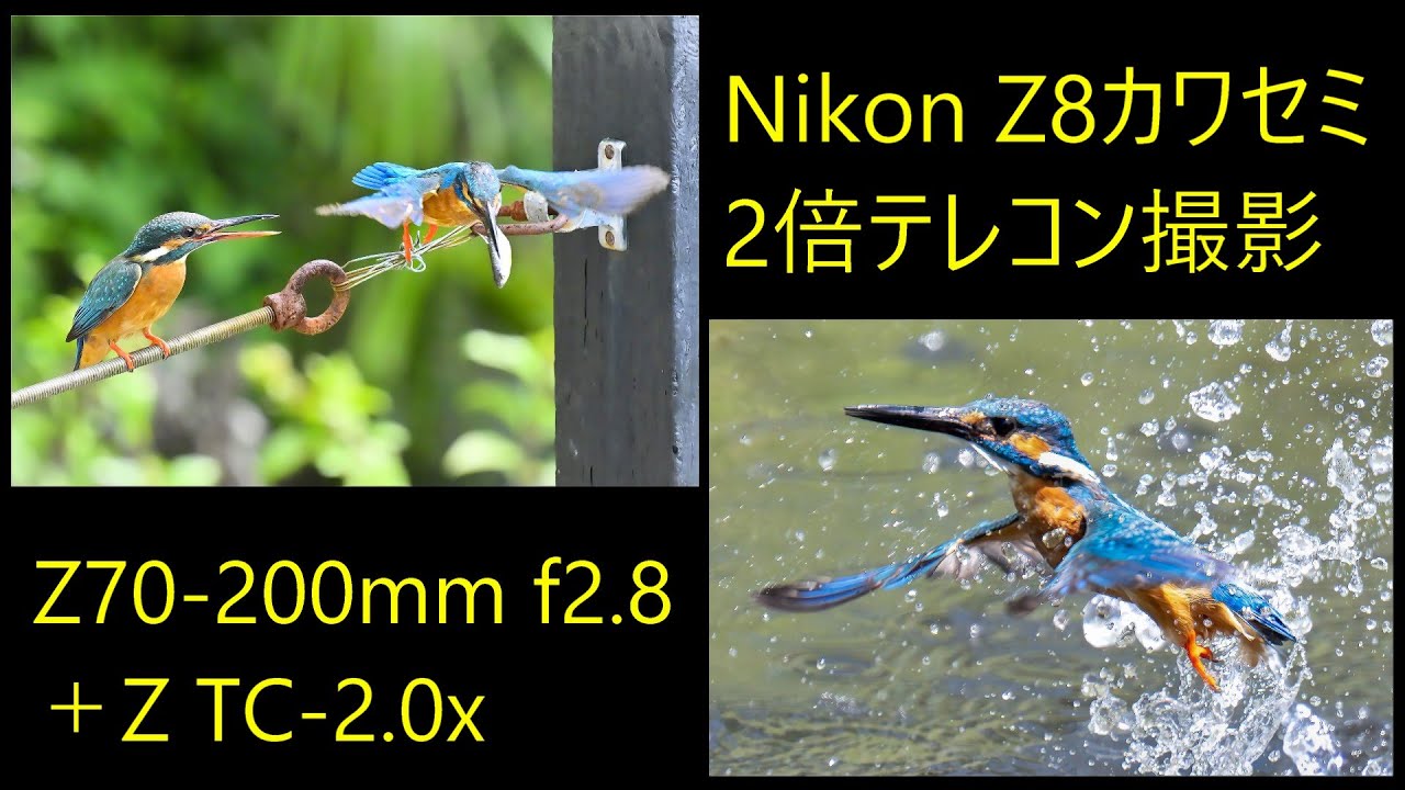 ✨作例あり✨飛行機も撮れる✨NIKON D7200 ニコン✨高画質✨ダブルレンズ ✨作例あり✨飛行機も撮れる✨NIKON D7200 ニコン✨高画質✨ダブル