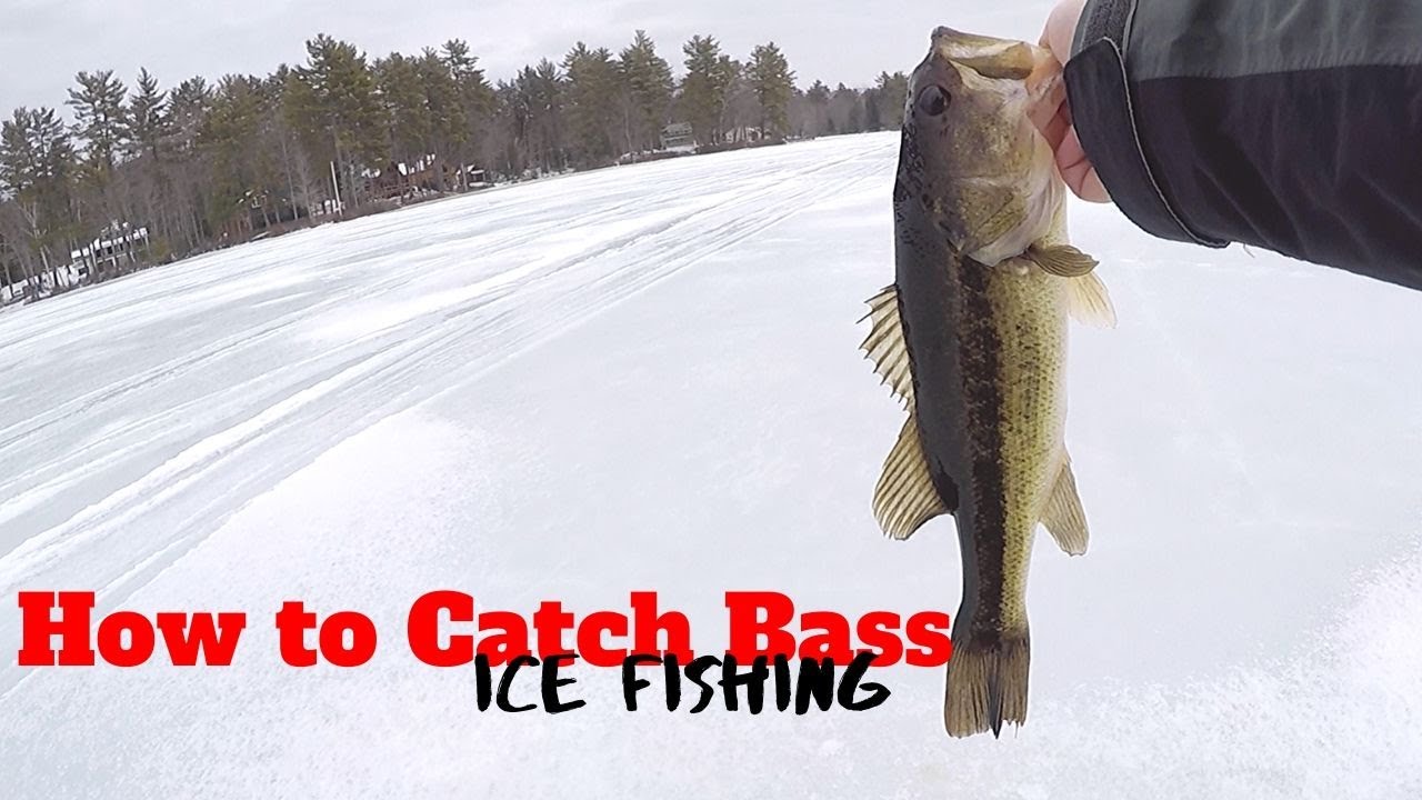 Ice Fishing GIANT Largemouth Bass through the ICE - How to Catch