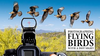 Photographing Flying Birds with a Dot Sight