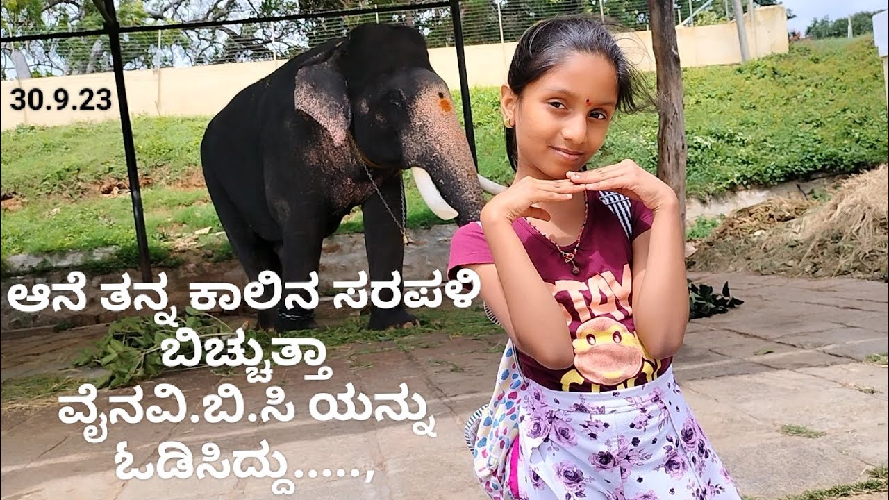 ಆನೆಯ ಮೇಲೆ ಮಾವುತ ಹೇಗೆ ಕೂರುತ್ತಾರೆ ? ವೈನವಿ.ಬಿ.ಸಿ ನೂ ಆಶ್ಚರ್ಯದಿಂದ ನೋಡುತ್ತಾ ! ಪರಿಚಯಿಸಿದ ರೀತಿ...,