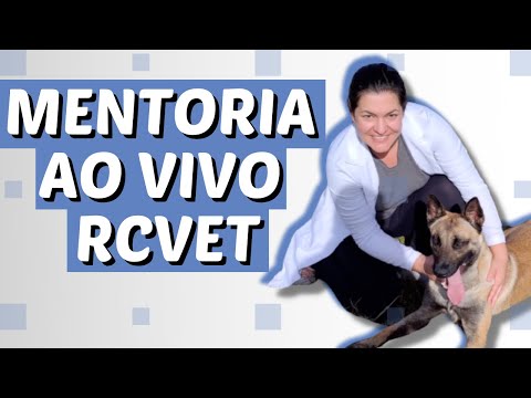 Vídeo: Vômito Crônico Em Cães - Vômito Crônico Em Cães