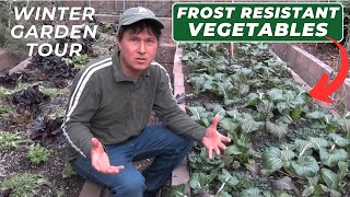 Frost Resistant Winter Vegetables You Can Grow Zone 9 Garden Tour