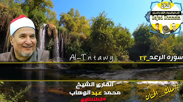 قمه ابداع#الشيخ_محمد_عبدالوهاب_الطنطاوى من سوره #الرعد (اولئك لهم عقبى الدار) #ملك_الحنان #استمع_له