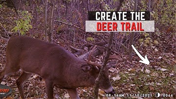 Creating Deer Trails