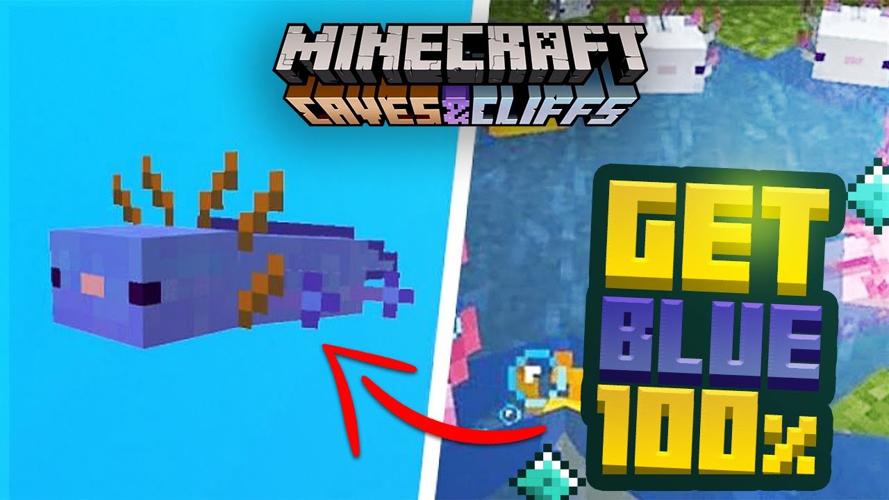 How To Get The Rarest Blue Axolotl 100 Of The Time 1 17 Minecraft Bedrock Java Youtube