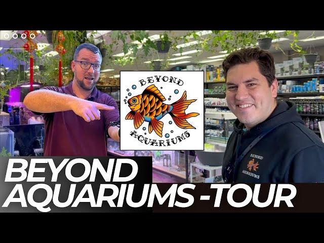 Beyond Aquariums - Full Tour class=