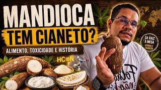 Mandioca tem cianeto? A verdade sobre a toxicidade, os alimentos e a história