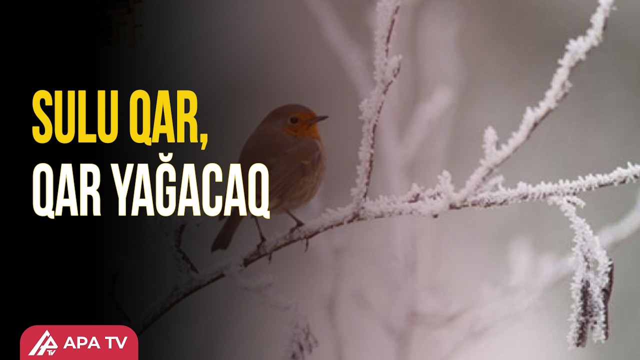 Fevralın 28-də gözlənilən hava şəraiti açıqlandı | APA TV
